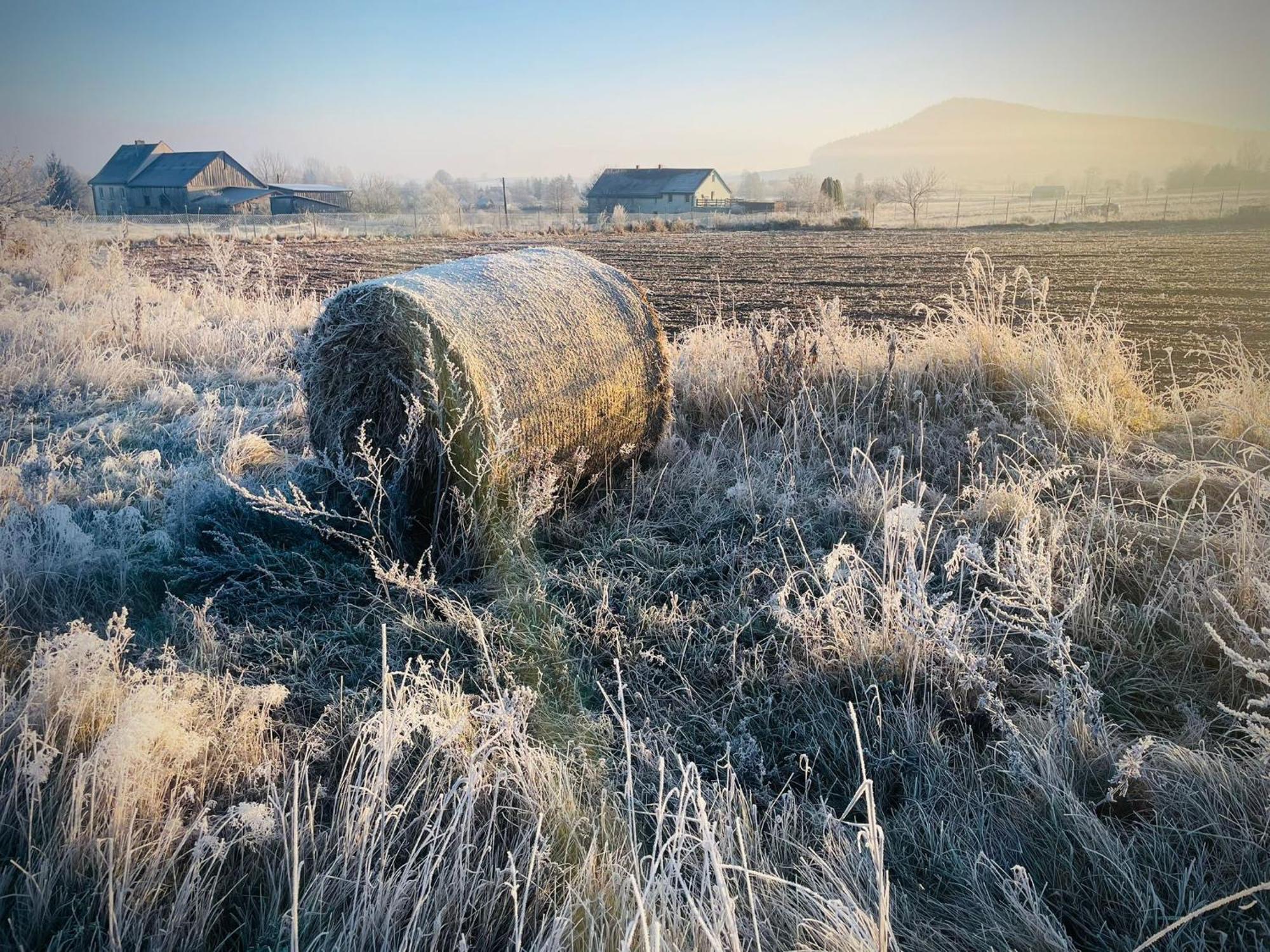 Wataha Pod Basztami - Wadera - Domki Caloroczne Radkow Exterior foto